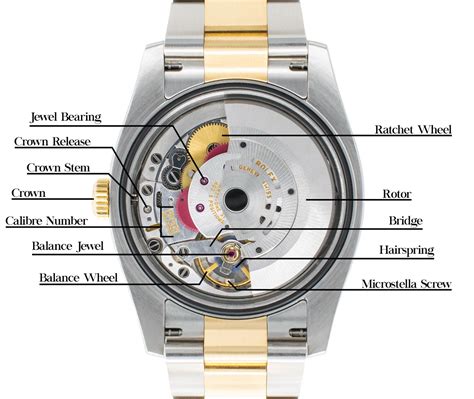 rolex movement chart